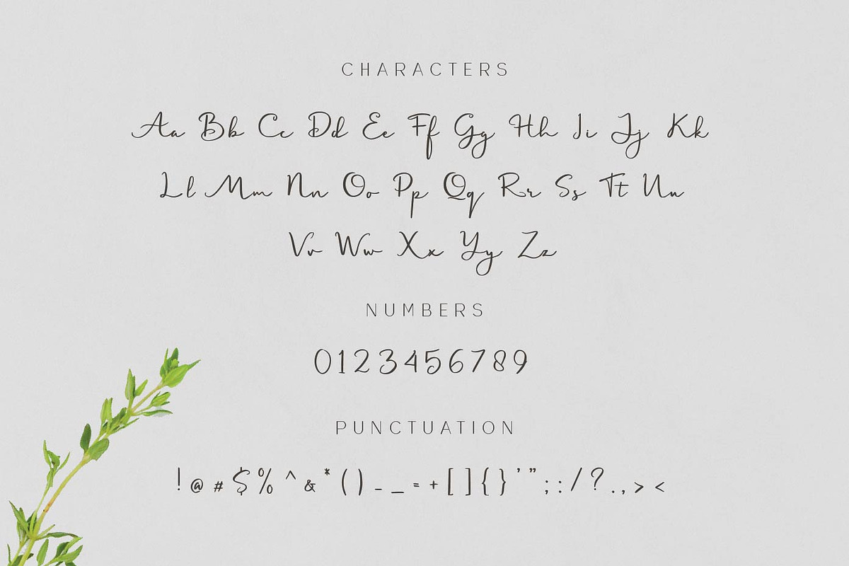 Belontang Signature Script, a Script Font by Patria Ari (P4tcreativa) (Photo 8 of 9)