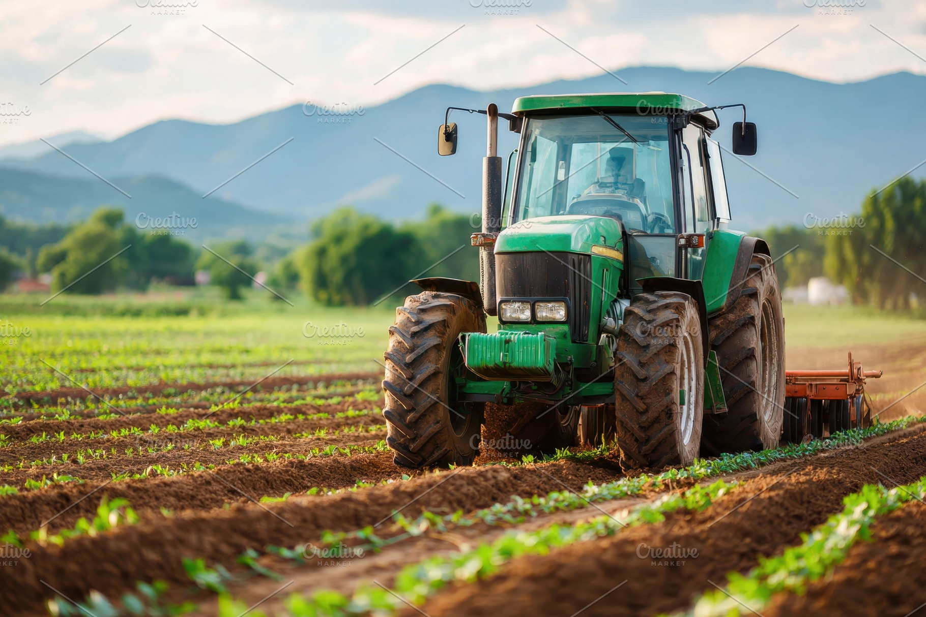 Tractor in young crop rows at sunset, an Industrial Photo by AlyaAnd