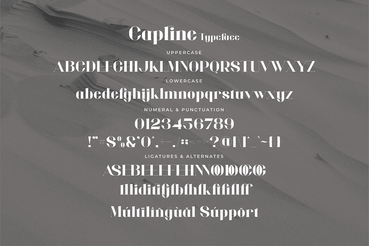 Capline - Stylish Serif Font, a Serif Font by Aqeel_Art (Photo 11 of 11)