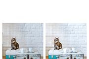 10 Bright Interior Lightroom Presets, a Preset Add-On by MockTurtleStudio (Thumbnail 3 of 11)