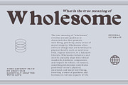 Gavency Blur, a Serif Font by Craft Supply Co. (Thumbnail 2 of 8)