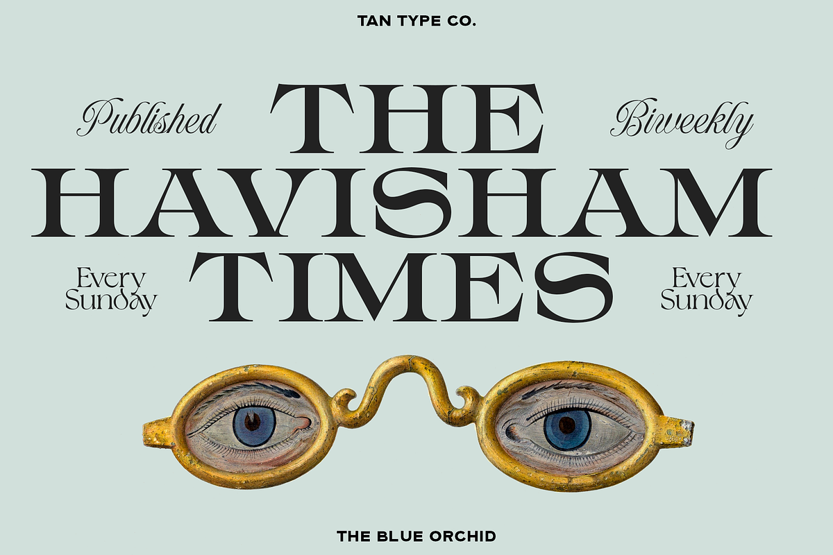TAN - THE BLUE ORCHID, a Serif Font by TanType (Photo 7 of 12)