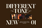 Hope Norton Elegant Serif Font, a Serif Font by Perfectype (Thumbnail 5 of 8)