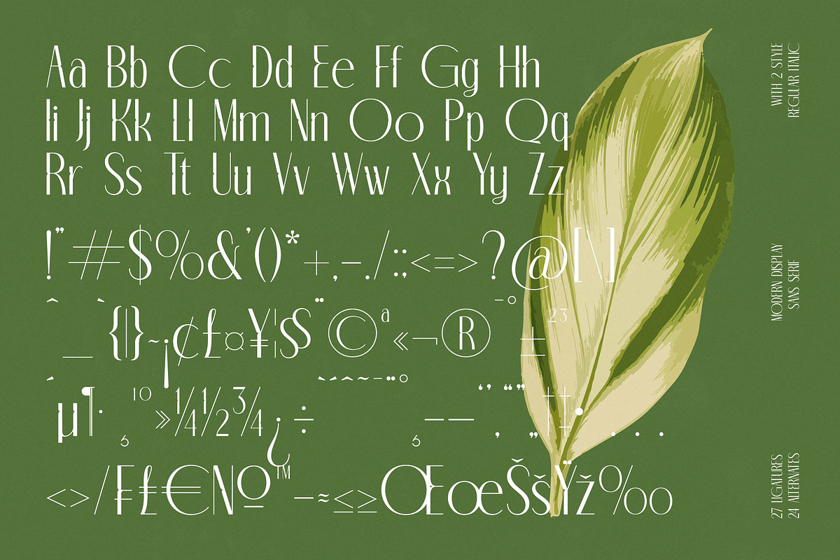 Classic Makore Modern Serif Font, a Serif Font by timelesstype.co (Photo 18 of 20)