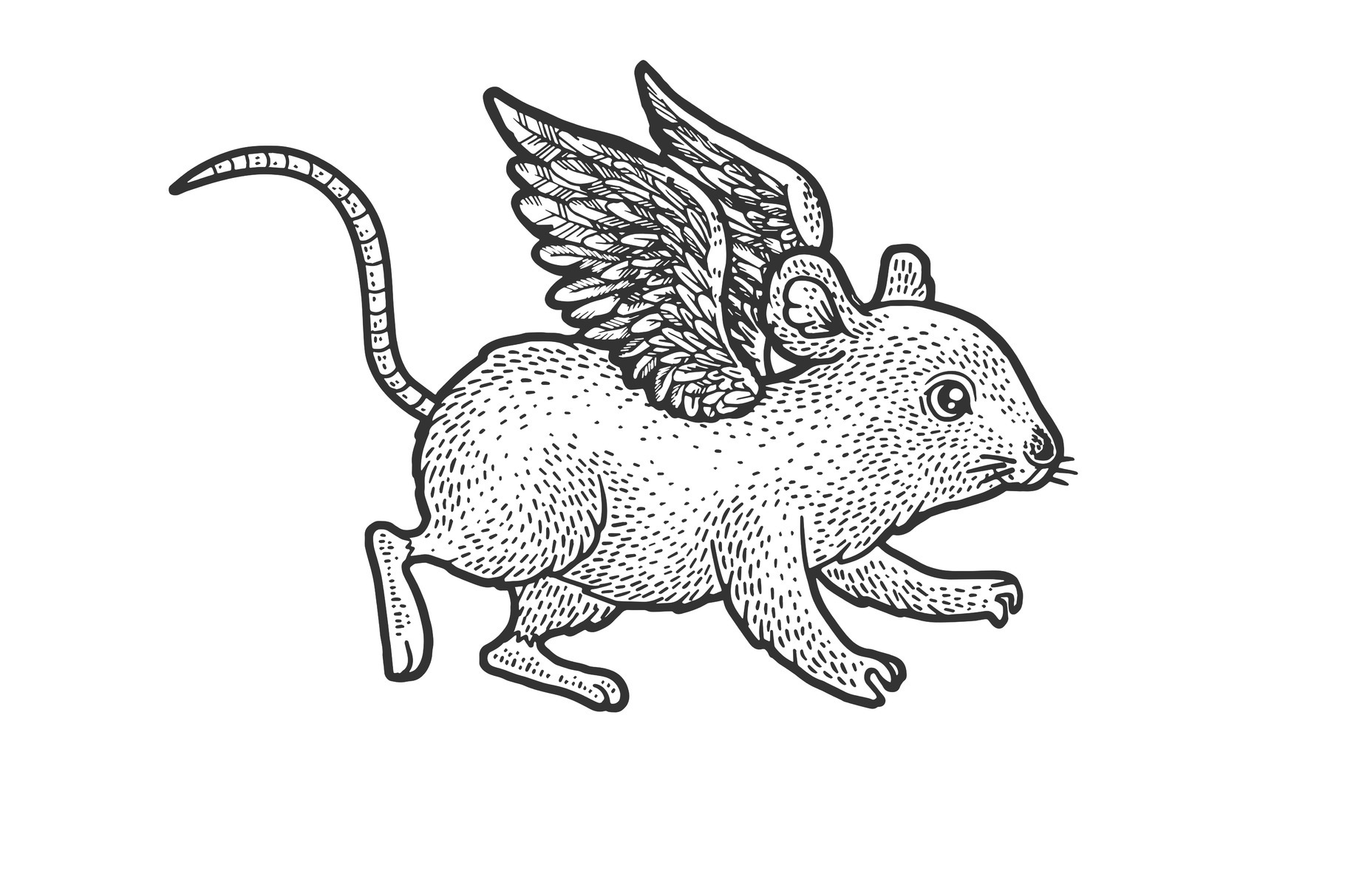 Mouse Flying With Wings Sketch by Alexart  Creative Market