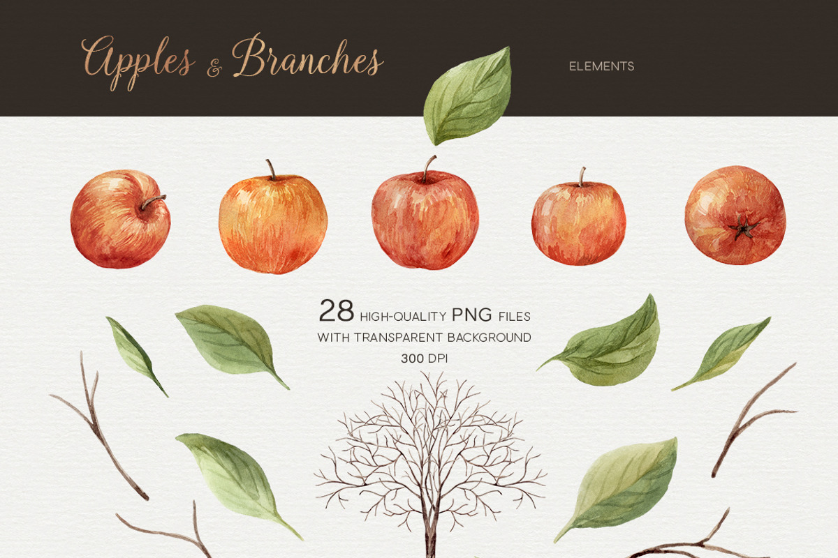 Apples and branches Watercolor set, an Illustration by NataliVA (Photo 5 of 9)