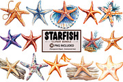 Starfish Watercolor Clipart Bundle, an Illustration by Pixels.Craft (Thumbnail 1 of 8)