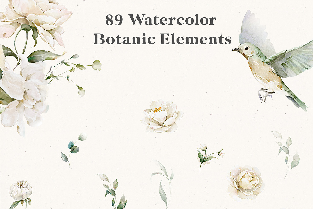 Watercolor White Flowers Collection, a Decorative Illustration by Damian Roh (Photo 4 of 16)