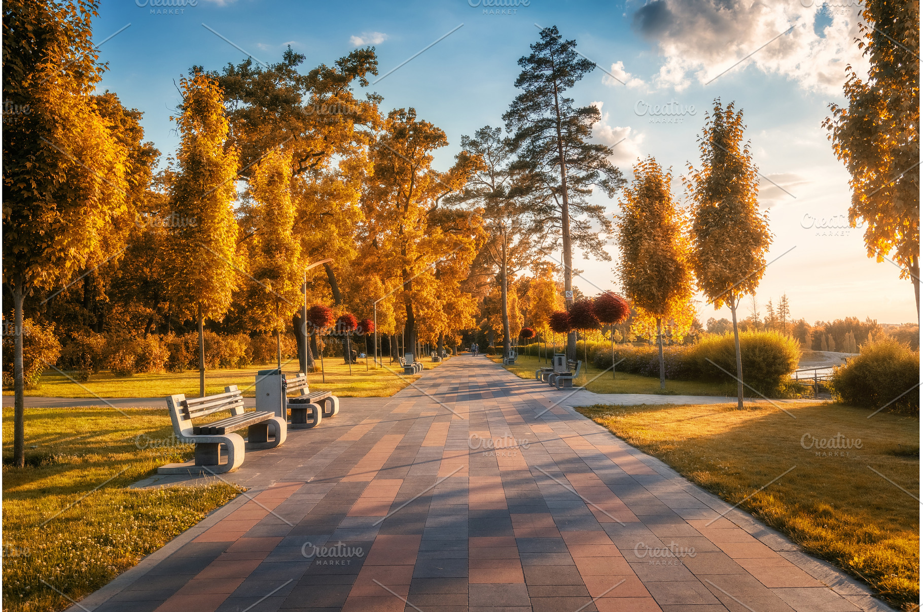 Beautiful park in Bucha, Ukraine, a Nature Photo by den-belitsky