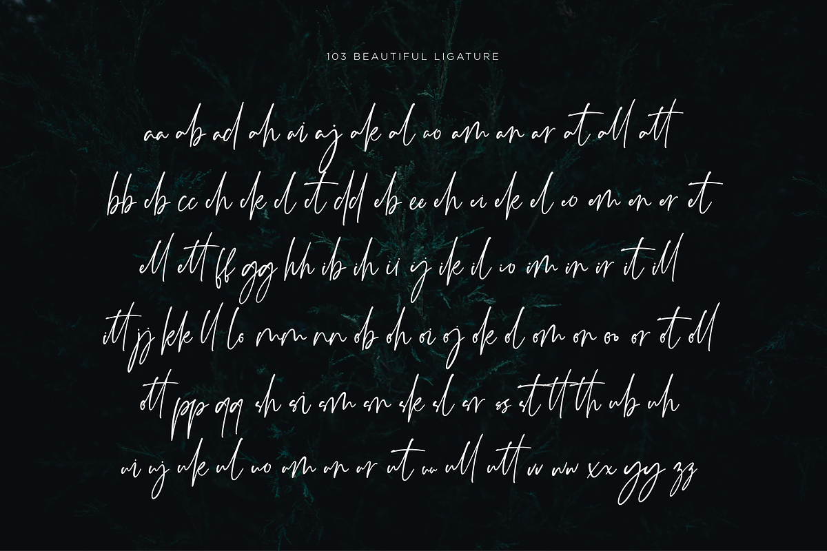 Monatta - Luxury Signature Font preview 8