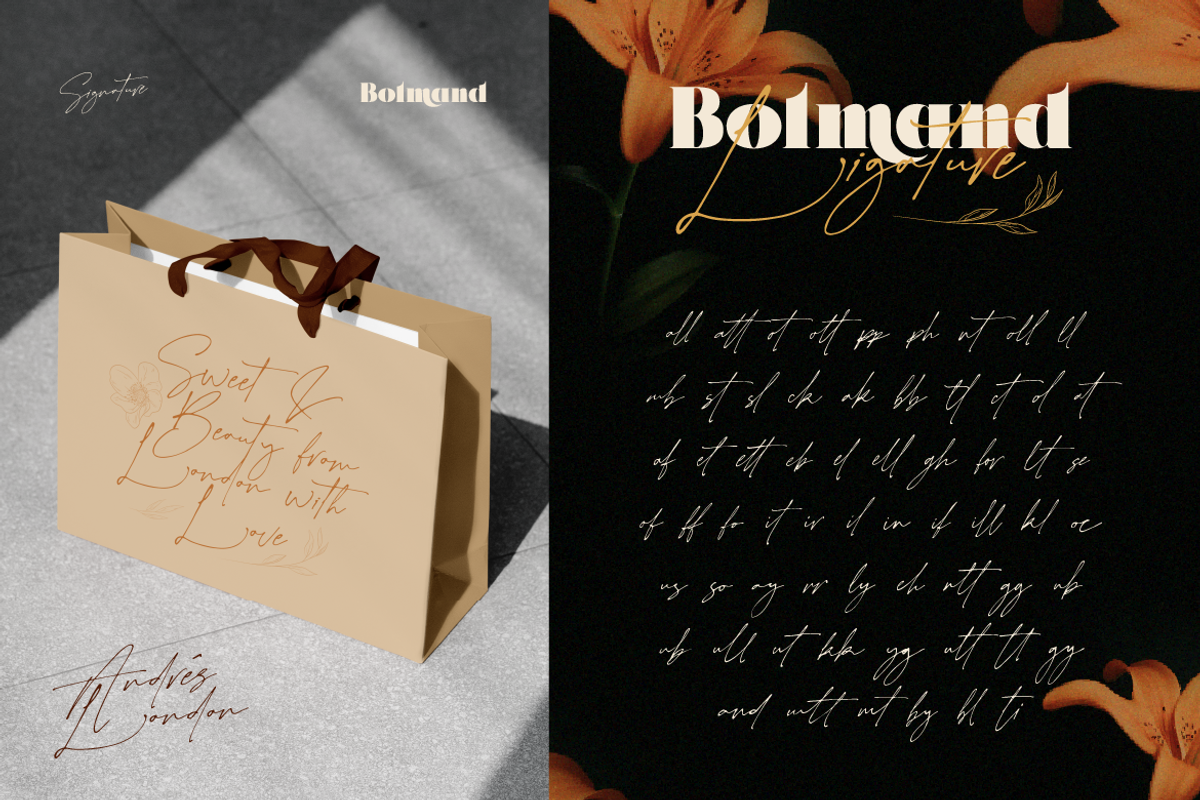 Bolmand Signature, a Serif Font by Burntilldead (Photo 10 of 12)