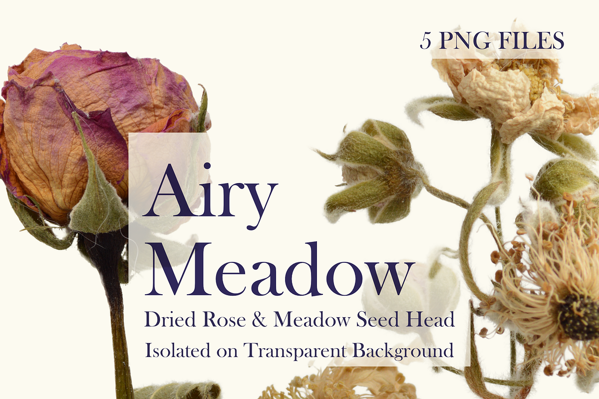 Airy Meadow – Dried Rose & Meadow Se, an Object Graphic by Aga Silva (Photo 3 of 7)