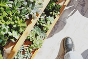 Retreat | Botanical Stock Photo Bund, a Nature Photo by MDSN Design (Thumbnail 14 of 16)