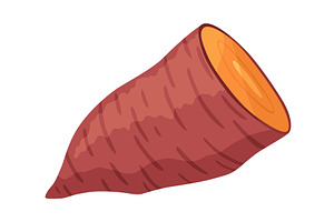 Sweet potato batata. Vegatable, a Food Illustration by the8monkey