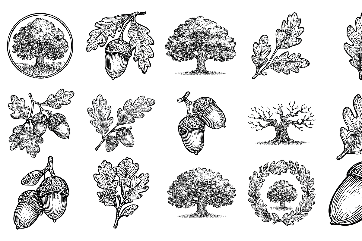 Hand Drawn Oak Tree Set, an Object Graphic by Sempu