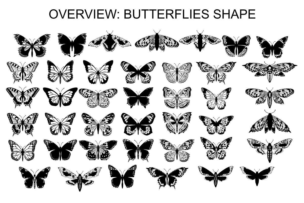 Wings & Butterfly(SVG, PNG Brushes), a Brush Add-On by xresch (Photo 11 of 22)