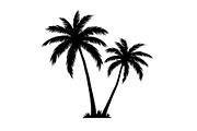 Tropical Palm Tree Silhouette Bundle, an Illustration by Amazin_art (Thumbnail 14 of 21)