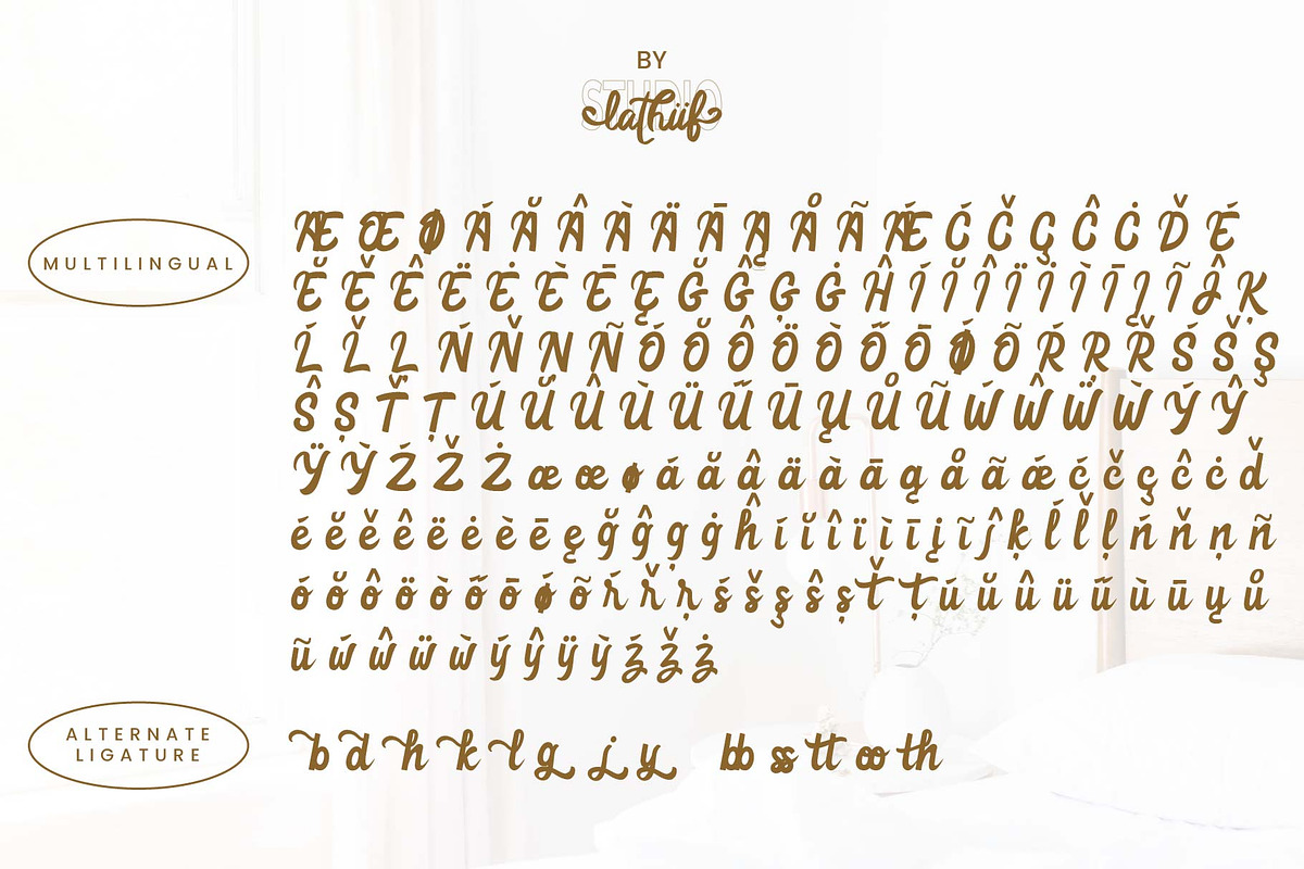 Valiyky - Vintage Bold Script, a Script Font by Zeatype (Photo 7 of 8)