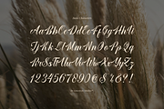 Larfioda | Elegant Script Font, a Script Font by gracetype_studio (Thumbnail 10 of 12)