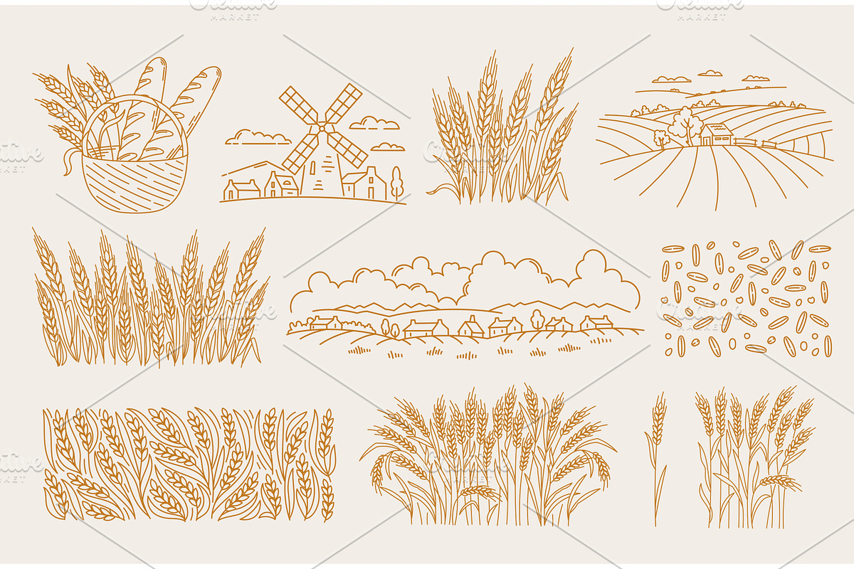 Visual elements for bakery packaging, an Illustration by Ilia Design