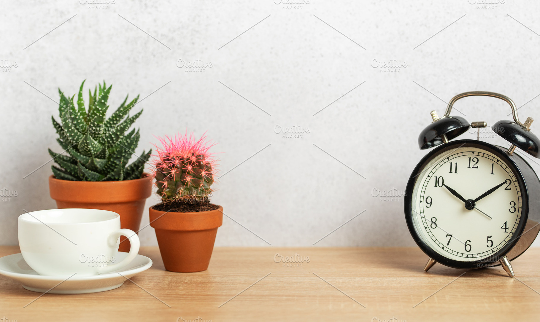 Coffee cup, alarm clock and succulents showing time management a, a Business Photo by Olena Rudo