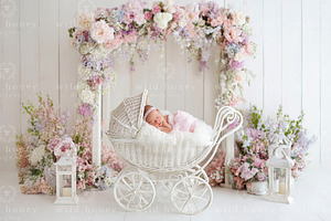 Floral Stroller Digital Backdrop, a Layer Style Add-On by Wild Honey Design Co.