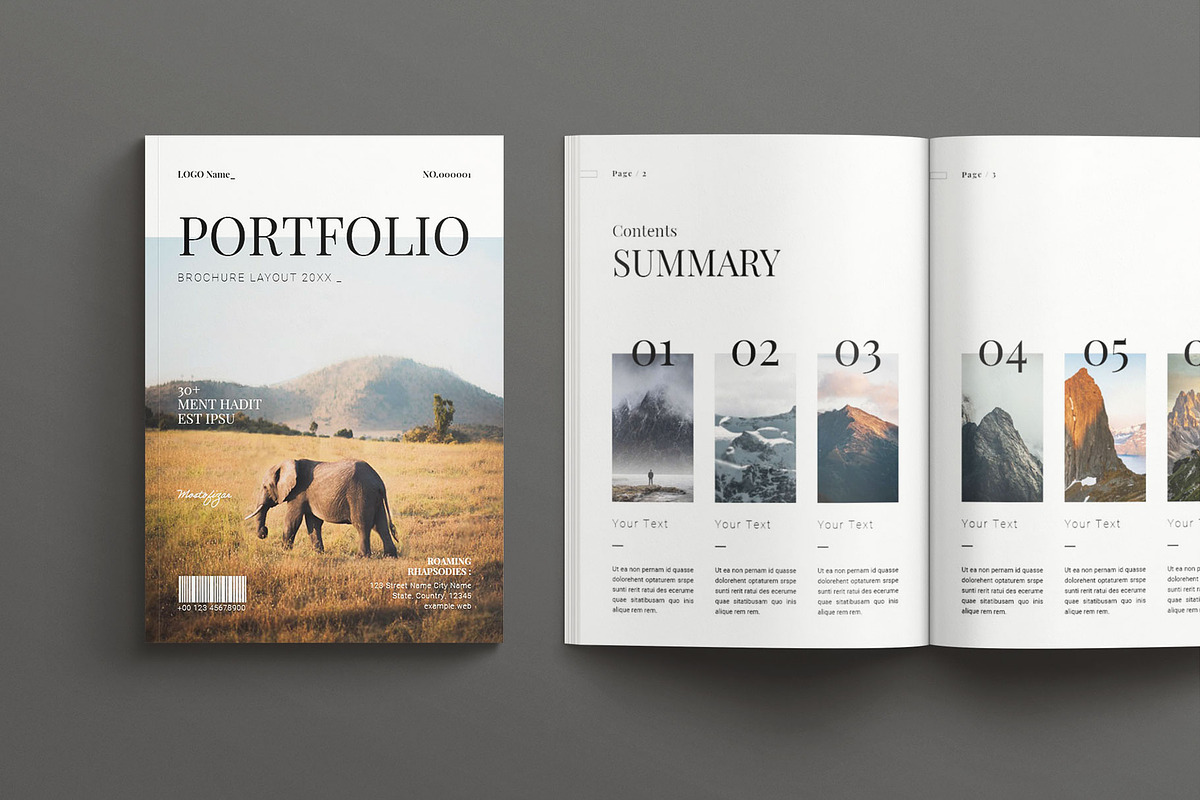 Portfolio Brochure Layout, a Brochure Template by Seeing-art (Photo 2 of 11)