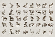 Farm Animals Illustrations, an Animal Illustration by Nocturnal Wolf (Thumbnail 12 of 14)