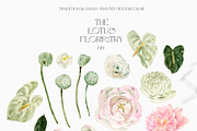 LOTUS Real Watercolor Flowers, a Decorative Illustration by Lana Elanor (Thumbnail 4 of 10)