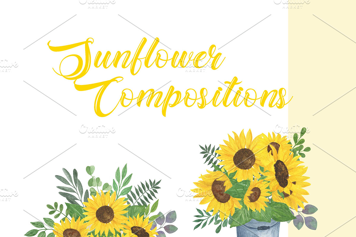 Sunflowers Watercolor Collection, an Illustration by Contes_de_fée (Photo 4 of 21)