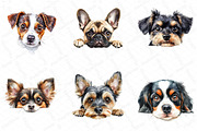 Peeking Dog Breed Clipart, an Illustration by DreamPrint404 (Thumbnail 5 of 6)