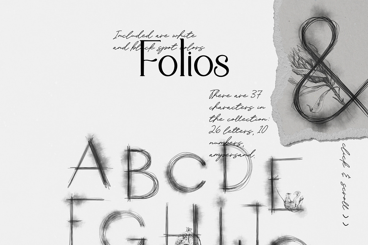 Folios. Botanical illustrations, an Object Illustration by Colden Blue (Photo 5 of 13)
