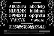 Astral Melt Typeface, a Serif Font by alit design (Thumbnail 10 of 20)