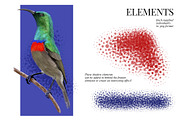 Exotic Wilderness, a Decorative Illustration by Dana Designs (Thumbnail 5 of 18)