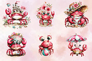 Whimsical Summer Crab Clipart Bundl, an Illustration by SVGArt (Thumbnail 3 of 9)