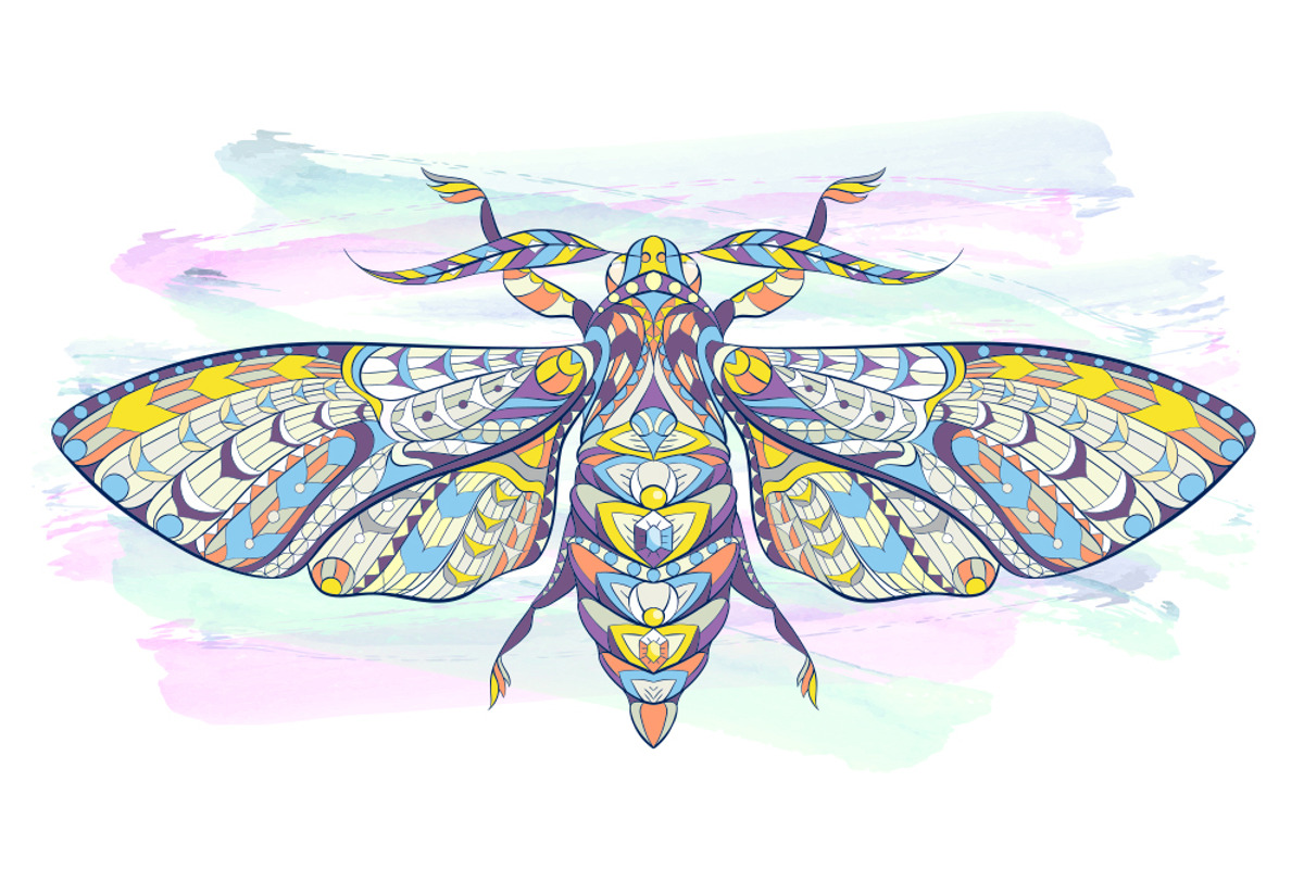Ethnic Collection: Moth, an Animal Illustration by ArtoJoy (Photo 3 of 4)
