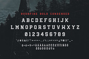 Bushfire - 4 Font Family, a Slab Serif Font by Greg Nicholls (Thumbnail 7 of 8)
