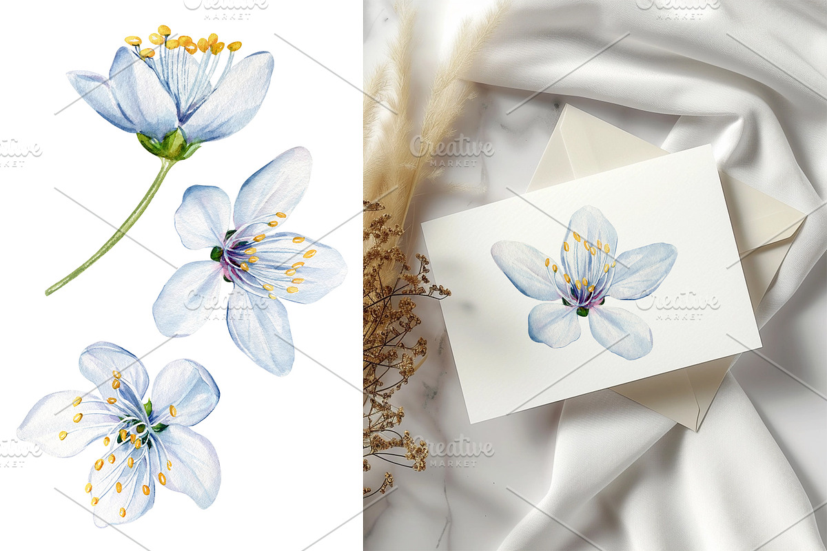 Watercolor Cherry blossom Sakura, an Object Illustration by Hanna Hryharenka (Photo 4 of 8)