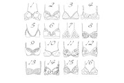 Hand drawn vector Lineart Bra set, an Illustration by esylvia (Thumbnail 5 of 9)
