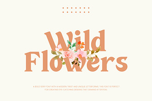 Wild Flowers Modern Bold Serif