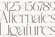 Restrain - Resort Branding Serif, a Serif Font by Sohel Studio (Thumbnail 12 of 12)