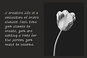 Swirly elegant quirky whimsical font, a Handwritten Font by Ashiya Pixel (Thumbnail 2 of 8)