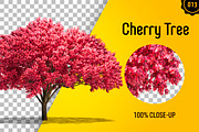 CUT OUT TREES - 60 PCS BUNDLE, a Packaging Mockup by 3DSTORE (Thumbnail 14 of 63)