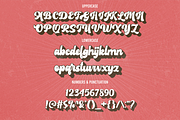 Bold Script Font, a Script Font by Flat Icons (Thumbnail 11 of 12)