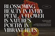 Rudge - Serif Font, a Serif Font by Luna Shop (Thumbnail 4 of 6)
