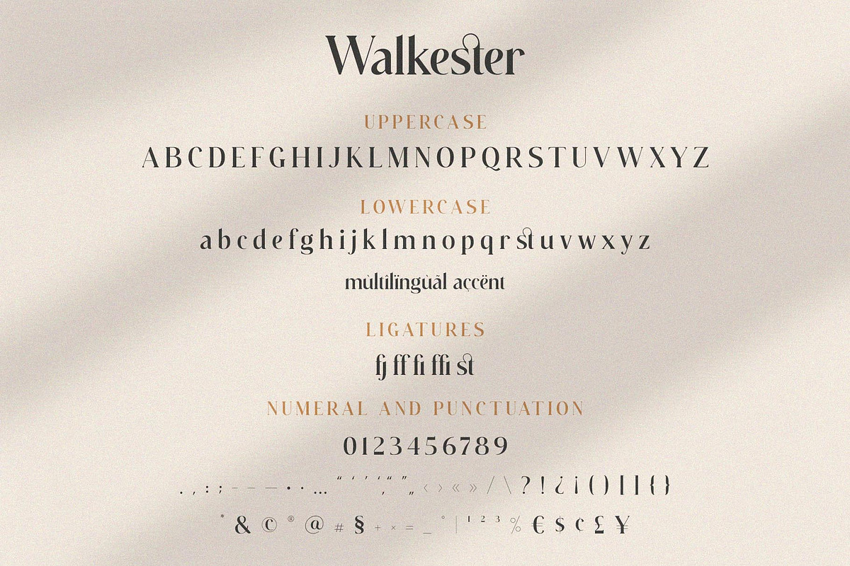 Walkester Font Duo, a Serif Font by BrandSemut (Photo 13 of 14)