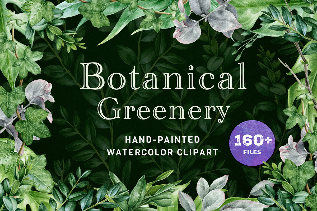 Botanical Greenery Clipart Set, a Decorative Illustration by AnitaPol (Photo 1 of 13)