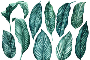 Tropical Green Plants Watercolor