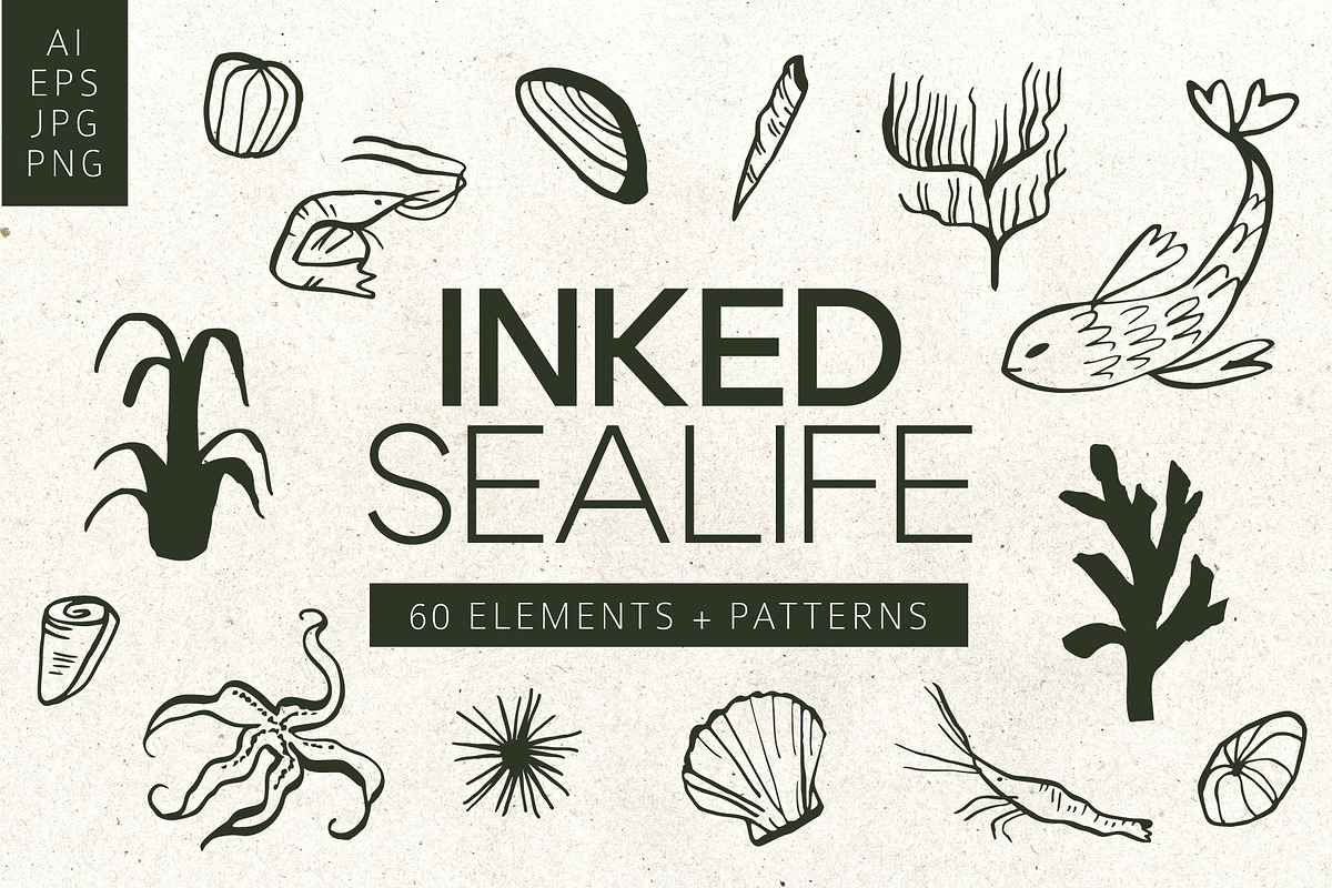 INKED SEALIFE hand drawn vector set, an Animal Illustration by Lena Nikolaeva (Photo 1 of 11)