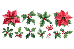 Poinsettia flowers and blossoms, an Object Illustration by Valerie Bodnar